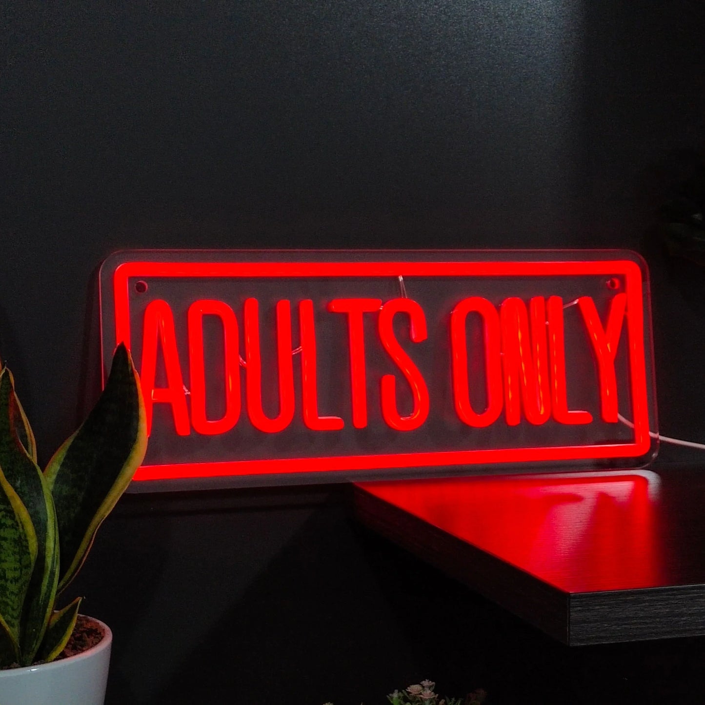 Adults Only Neon Sign
